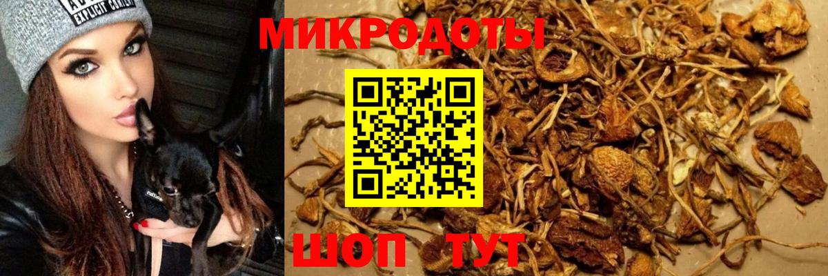 Усть-Джегута  Псилоцибиновые грибы прущие грибы  Псилоцибиновые грибы Cubensis  Вход с VPN 
